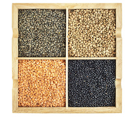 Image showing red, green, black and French lentils