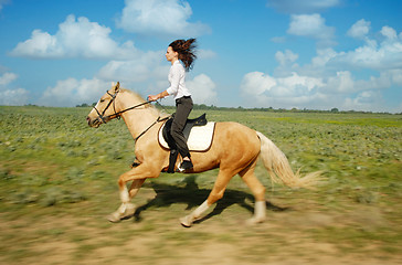 Image showing Gallop