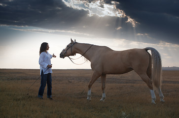 Image showing Horse training