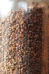 Image showing coffee beans