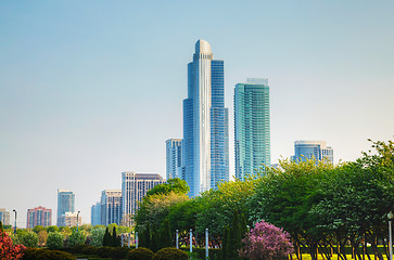 Image showing Downtown Chicago, IL on a sunny day