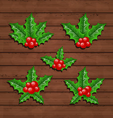 Image showing Christmas set holly berry branches on wooden background