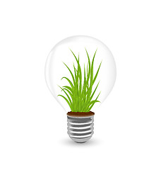 Image showing Lamp with grass inside isolated on white background