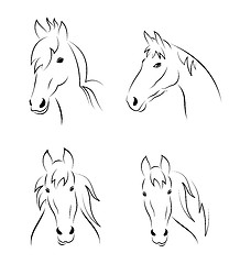 Image showing Set symbols outline head horse isolated on white background