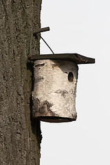 Image showing nest box