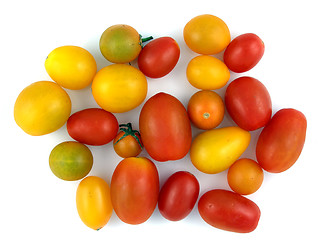 Image showing Tomato medley