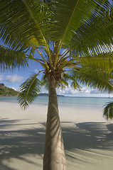 Image showing Tropical beach