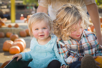 Image showing Young Family Enjoys a Day at the Pumpkin Patch