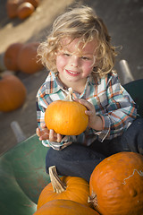 Image showing Little Boy Sitting and Holding His Pumpkin at Pumpkin Patch
