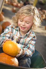 Image showing Little Boy Sitting and Holding His Pumpkin at Pumpkin Patch
