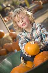 Image showing Little Boy Sitting and Holding His Pumpkin at Pumpkin Patch
