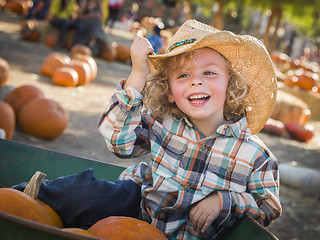 Image showing Little Boy in Cowboy Hat at Pumpkin Patch