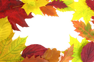 Image showing Autumn leaves design