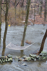 Image showing view of flood in backyard