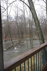 Image showing view of flood in backyard