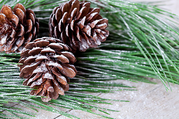 Image showing christmas fir tree with pinecones