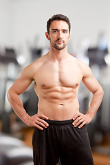 Image showing Fit Man Standing With Arms At His Waist in a Gym