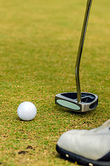 Image showing golfer putting a golf ball in to hole