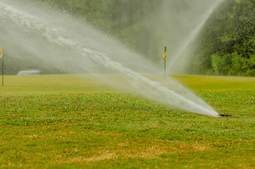 Image showing watering green grass lawn on golf course