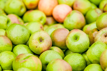 Image showing Freshly harvested colorful crimson crisp apples on display at th