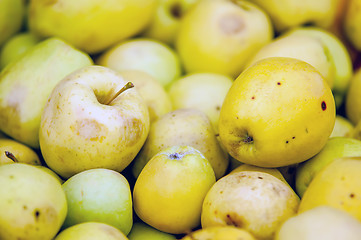 Image showing Freshly harvested colorful crimson crisp apples on display at th