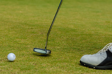 Image showing golfer putting a golf ball in to hole