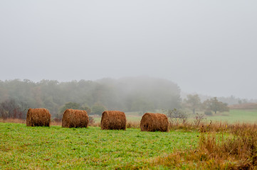 Image showing mountain farm land in virginia mountains