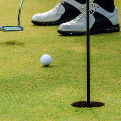 Image showing golfer putting a golf ball in to hole