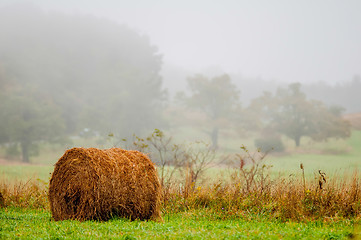 Image showing mountain farm land in virginia mountains