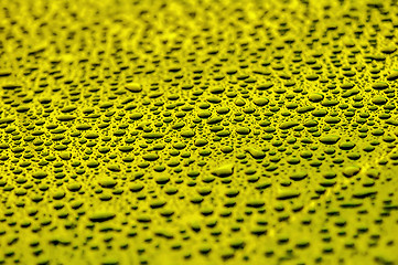 Image showing yellow water drops on water-repellent surface