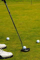 Image showing golfer putting a golf ball in to hole
