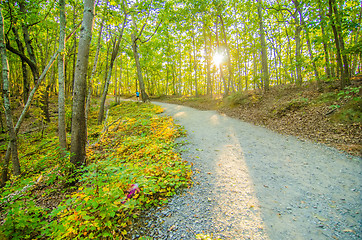 Image showing Beautiful autumn forest mountain stair path at sunset