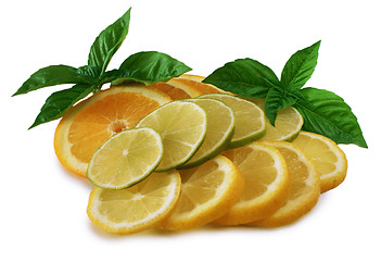 Image showing Citrus Fruits