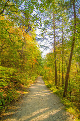 Image showing Beautiful autumn forest mountain stair path at sunset