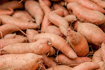 Image showing sweet potatoes on a farm display