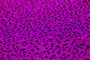 Image showing purple water drops on water-repellent surface