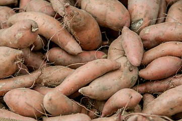 Image showing sweet potatoes on a farm display