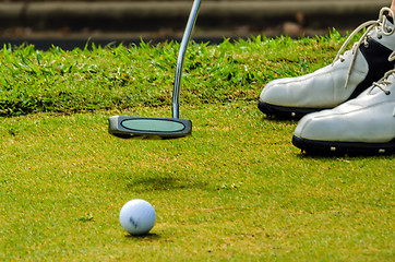 Image showing golfer putting a golf ball in to hole