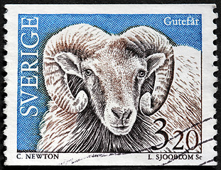Image showing Gotland Sheep Stamp