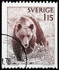 Image showing Brown Bear Stamp