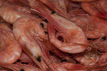 Image showing prawns