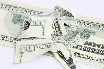 Image showing ragged dollar