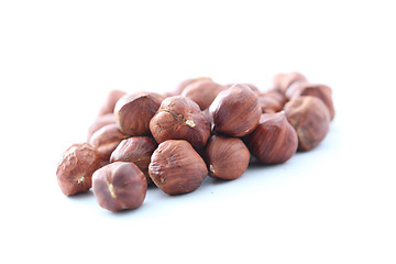 Image showing hazelnut