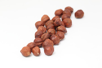 Image showing hazelnut