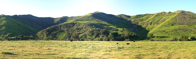 Image showing Meadow Valley