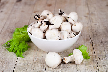 Image showing  fresh champignons with parsley