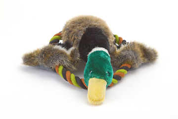 Image showing Dog Toy