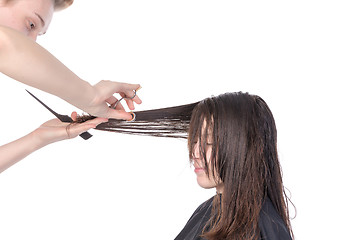 Image showing Young woman having a hair cut