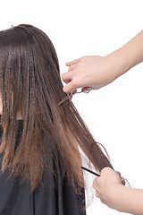 Image showing Young woman having a hair cut