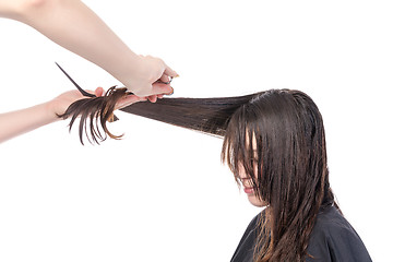 Image showing Young woman having a hair cut